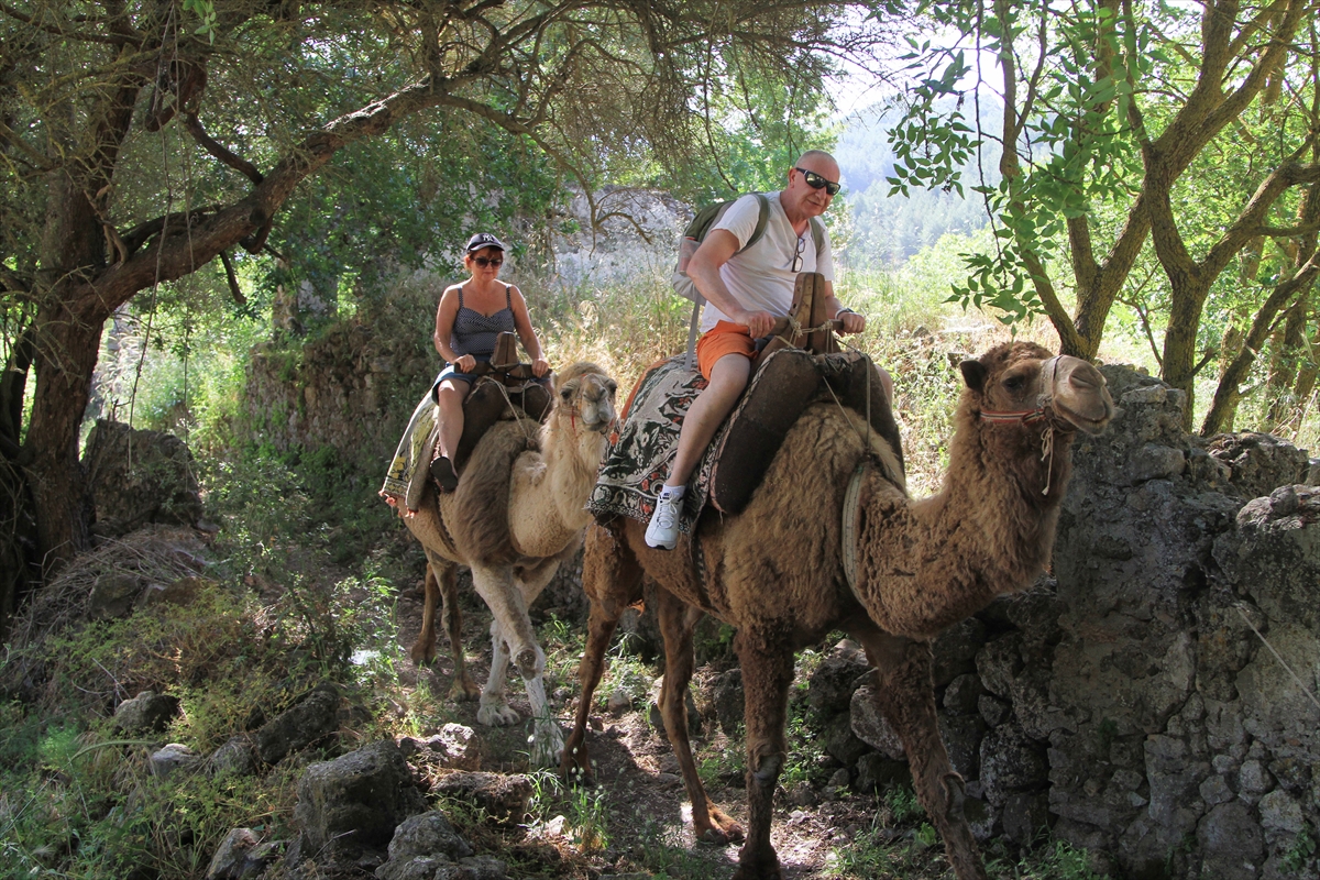 Fethiye Camel Riding