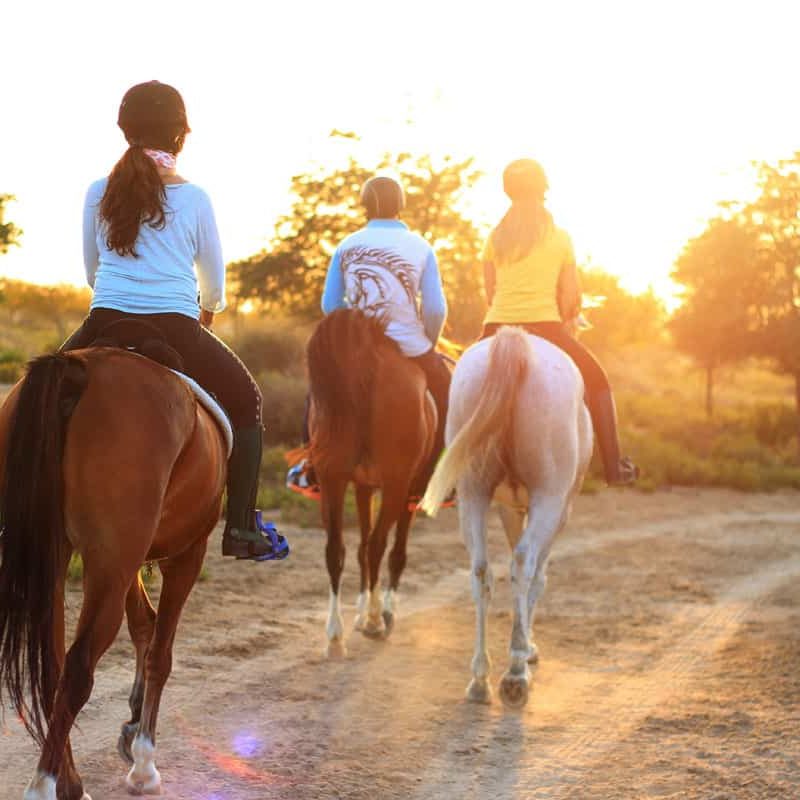 Fethiye Horse Riding