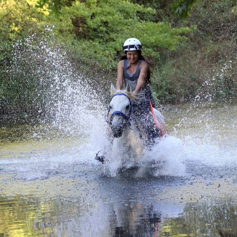 Marmaris Horse Safari