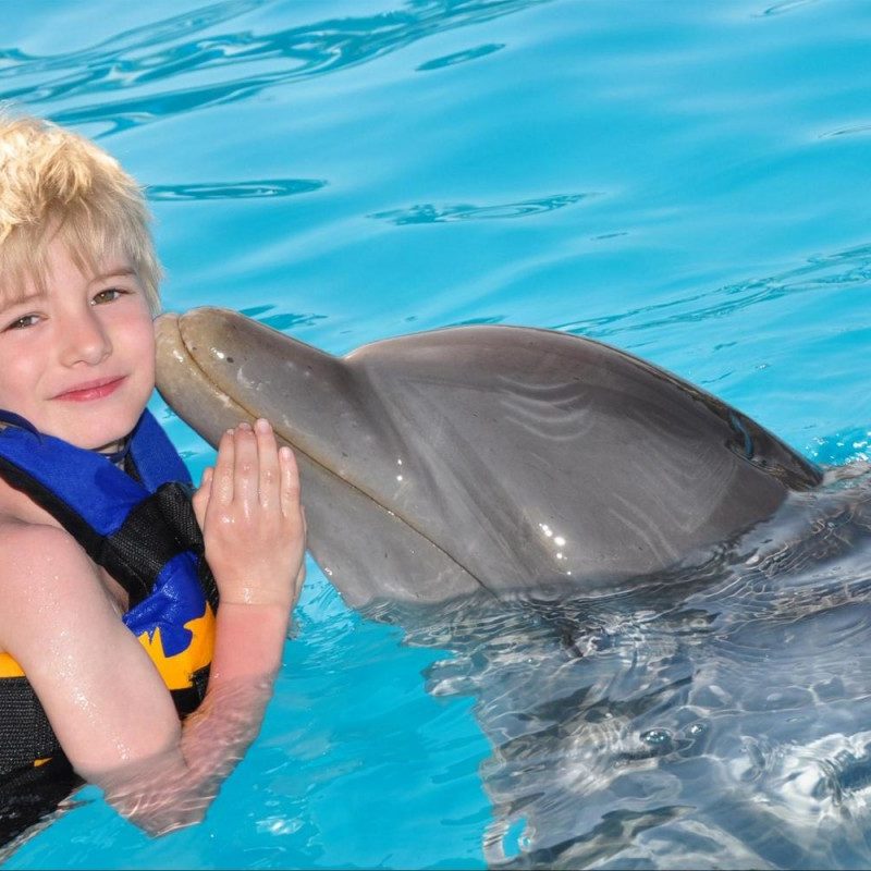 Marmaris Swim With Dolphins