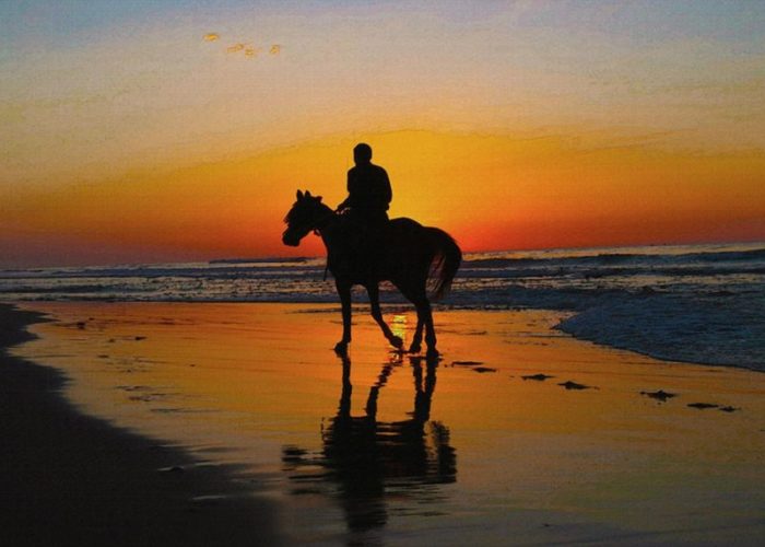 Antalya Horse Riding At Sunset