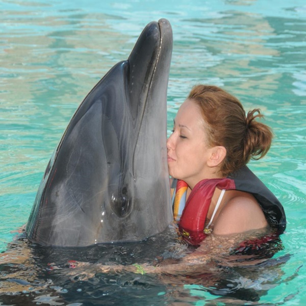 Alanya Swimming with Dolphins