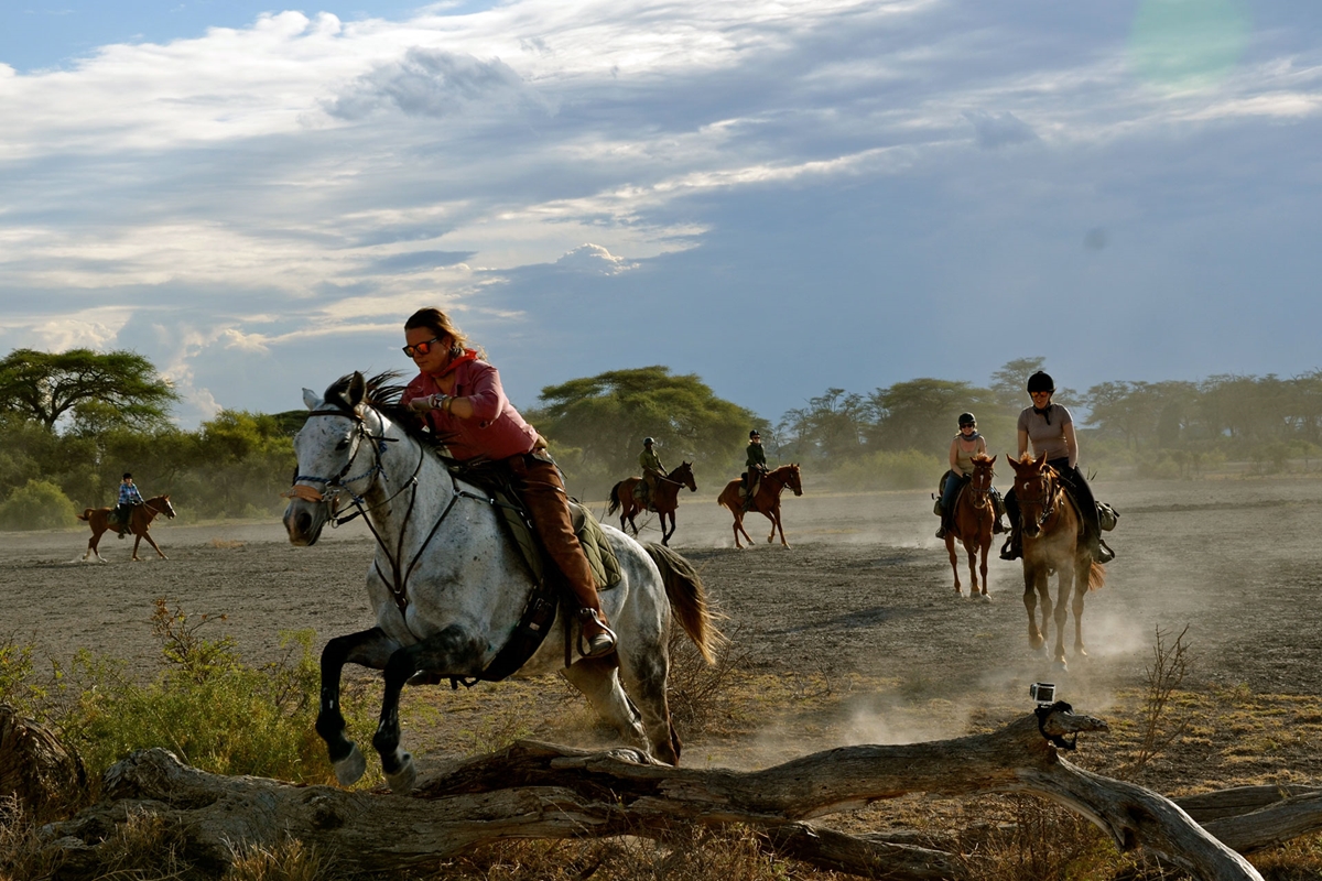 Kuşadası Horse Safari